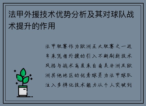 法甲外援技术优势分析及其对球队战术提升的作用