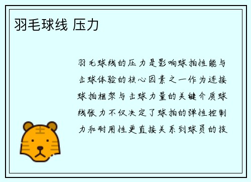 羽毛球线 压力
